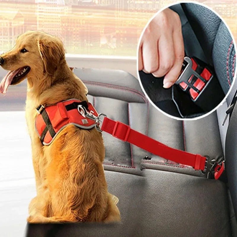 ceinture securité chien - Niche toutou