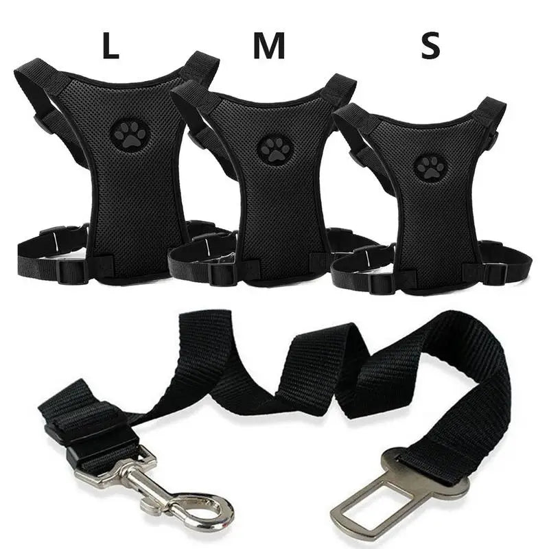 ceinture securité chien - Niche toutou