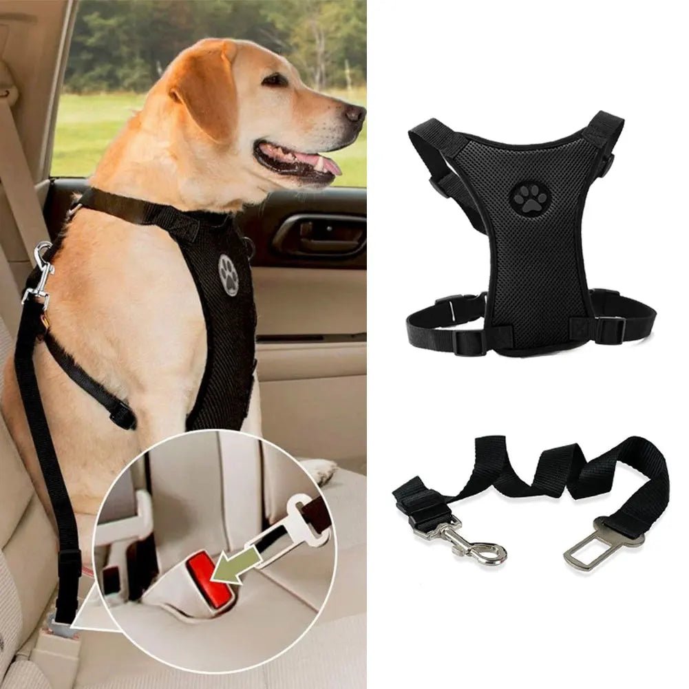 ceinture securité chien - Niche toutou