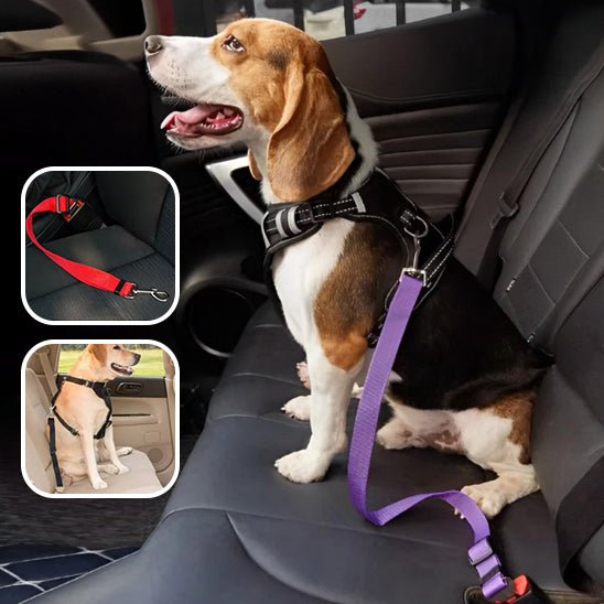 ceinture securité chien - Niche toutou