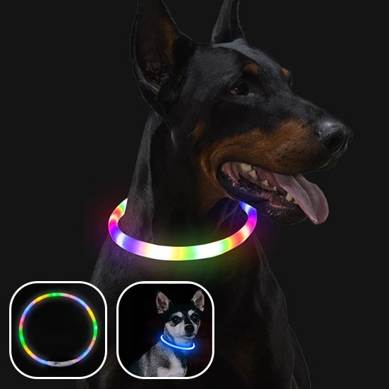 Collier Lumineux Chien | Visibilité Nocturne 500m - Niche toutou