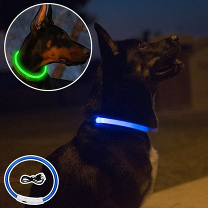 Collier Lumineux Chien | Visibilité Nocturne 500m - Niche toutou