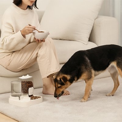 Distributeur croquette Chien | AutoMeal - Niche toutou