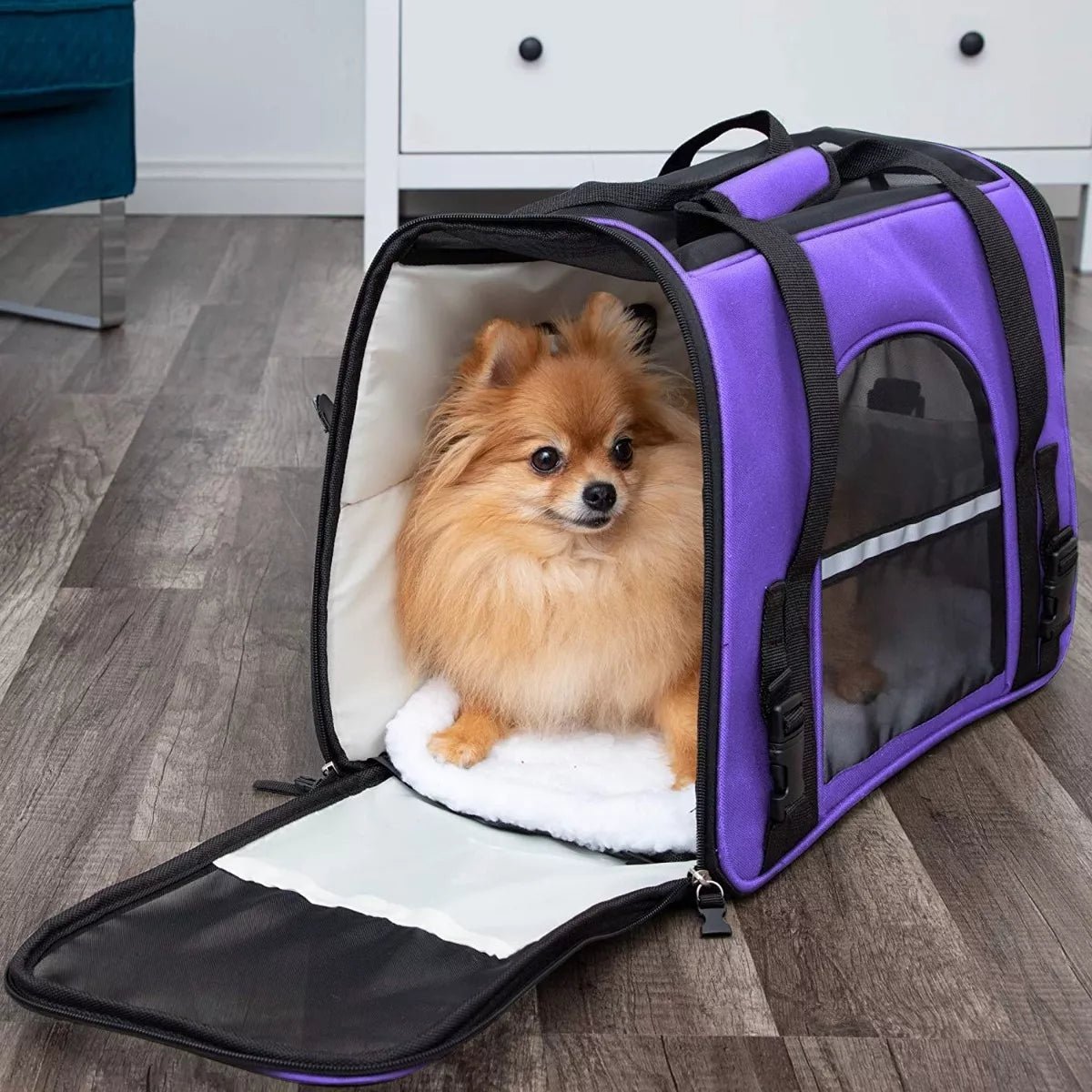 DogCarrierBag™ - Violet - Niche toutou