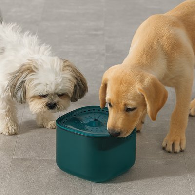 Fontaine a eau Chien | SilentFlow - Niche toutou