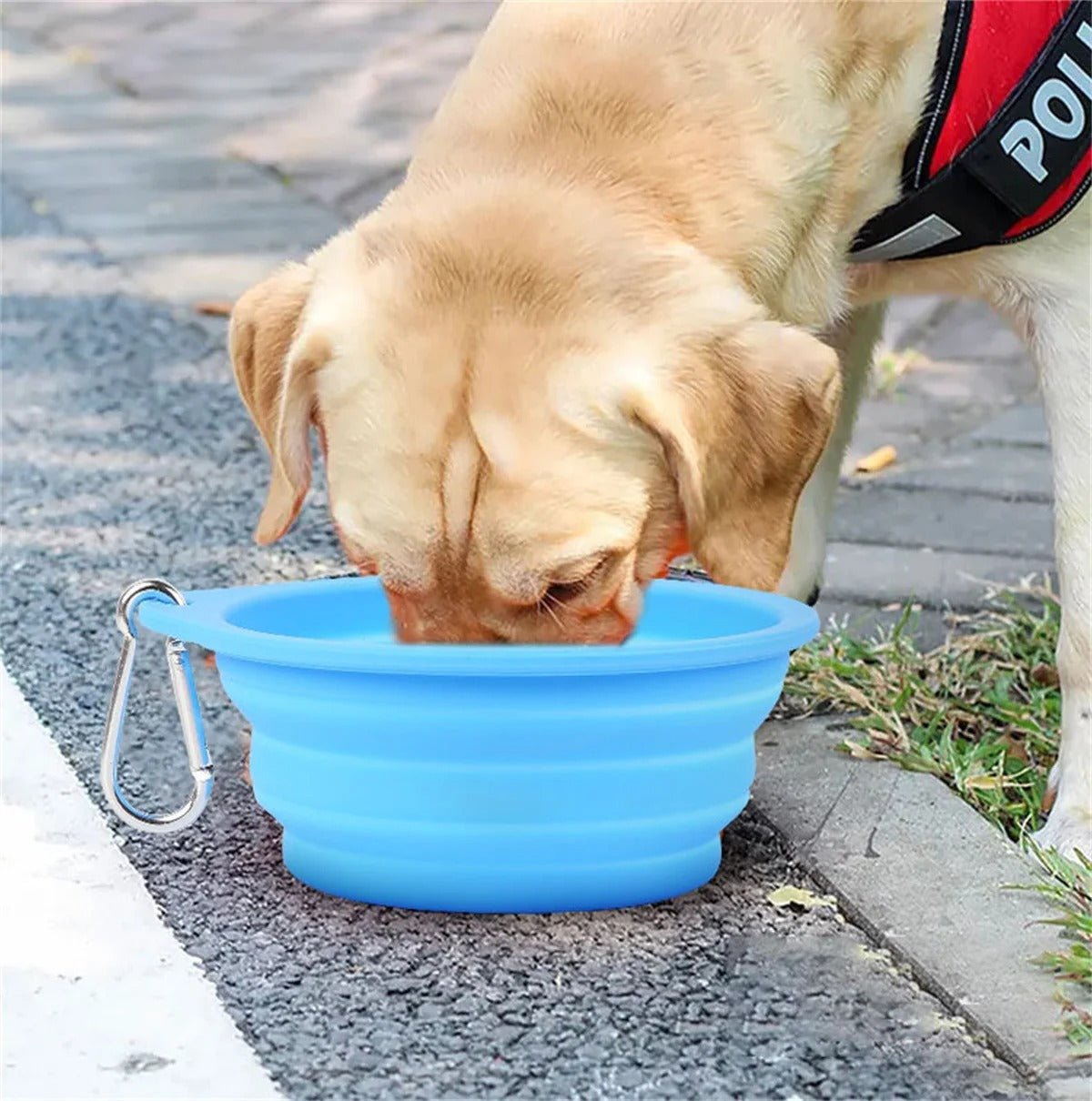 gamelle pour chien - Niche toutou