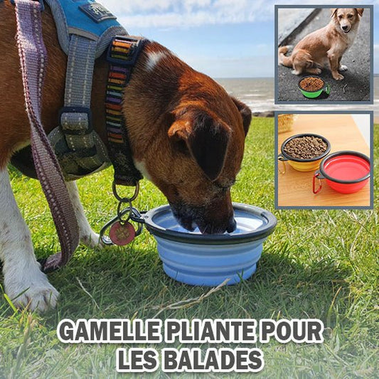 gamelle pour chien - Niche toutou