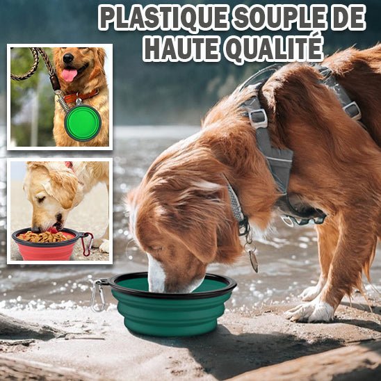 gamelle pour chien - Niche toutou